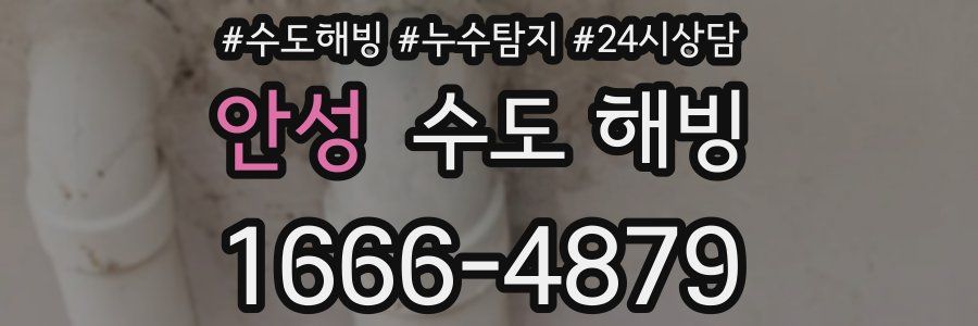 안성 수도 해빙