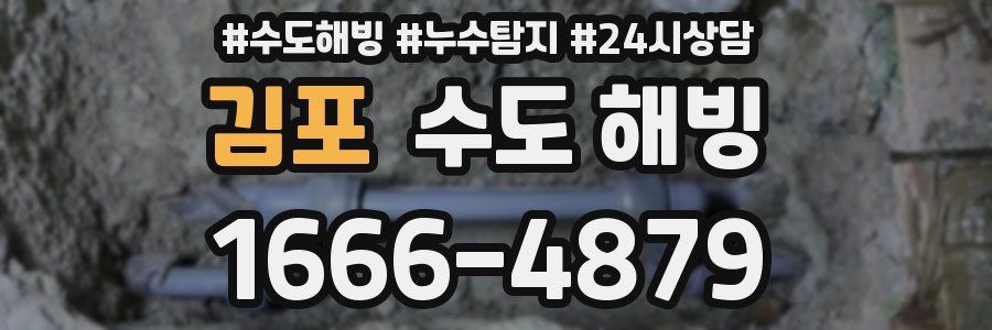 김포 수도 해빙