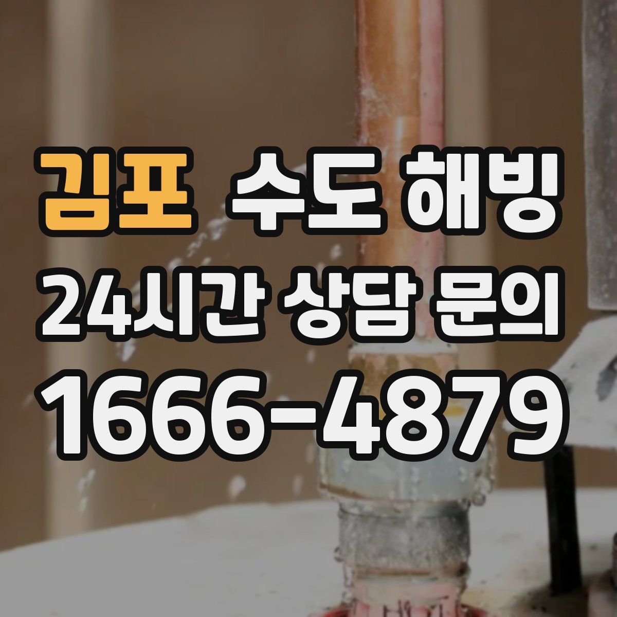 김포 수도 해빙