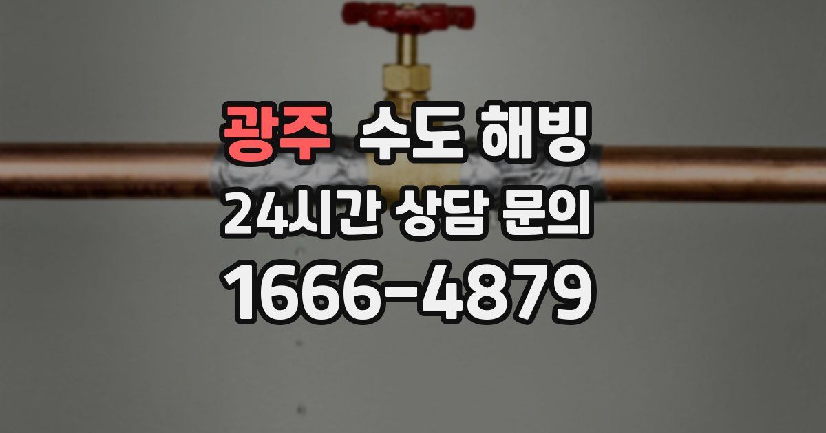 광주 수도 해빙