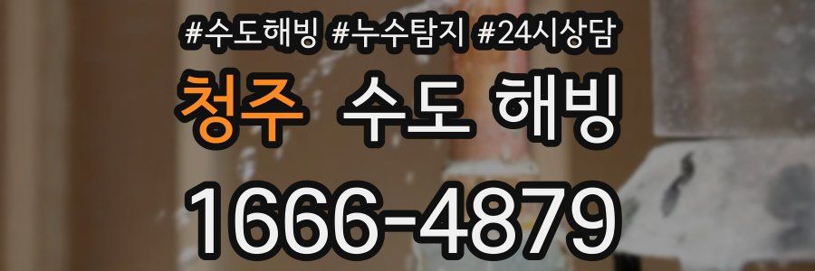 청주 수도 해빙