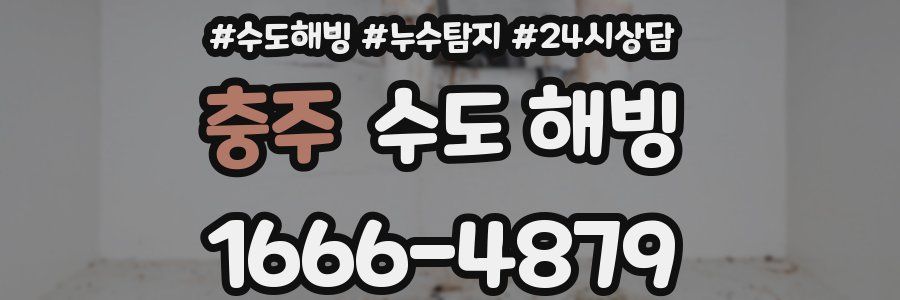 충주 수도 해빙