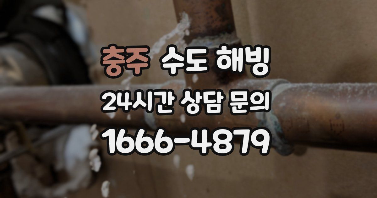 충주 수도 해빙