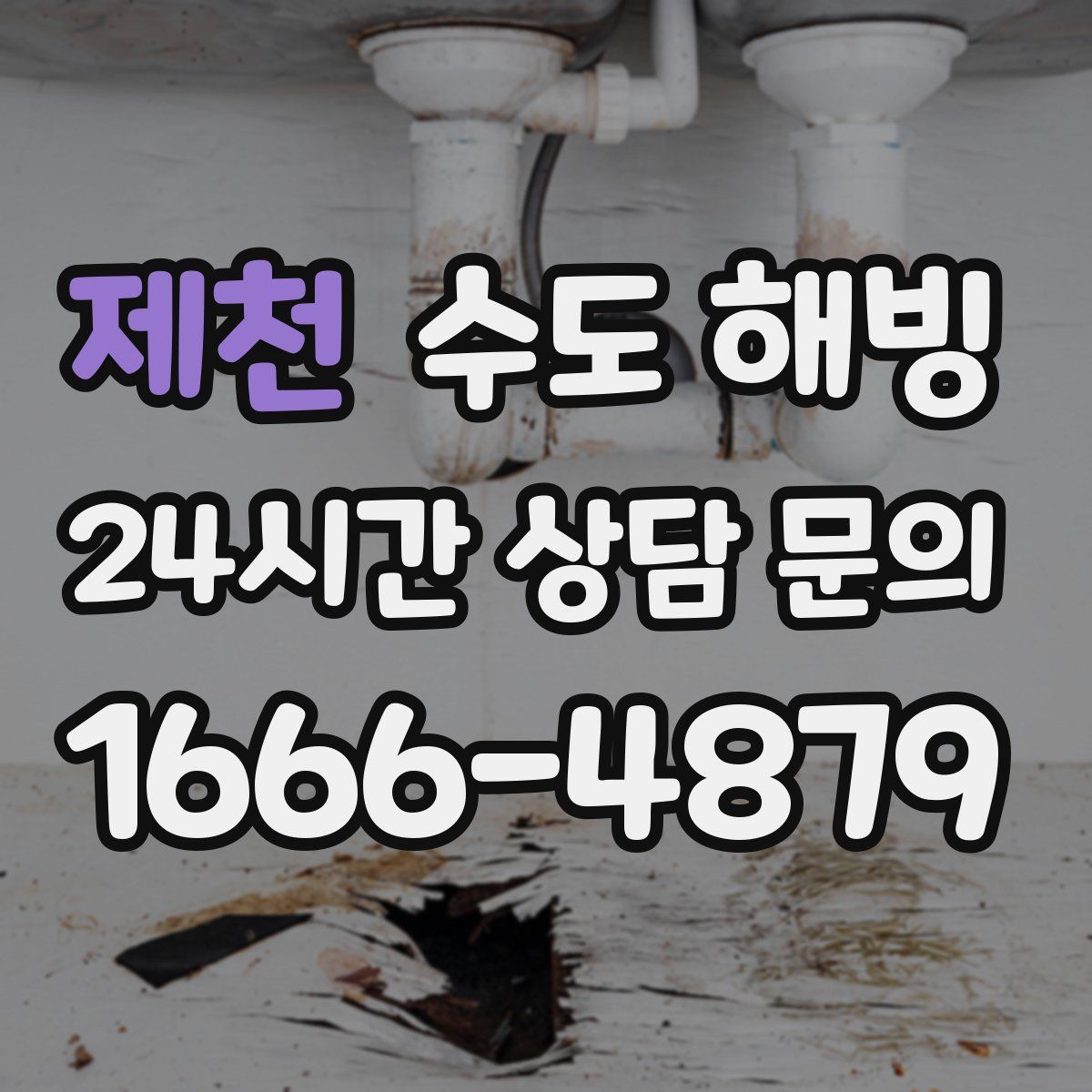 제천 수도 해빙