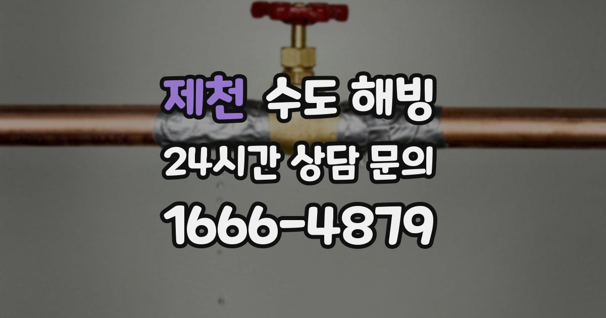 제천 수도 해빙