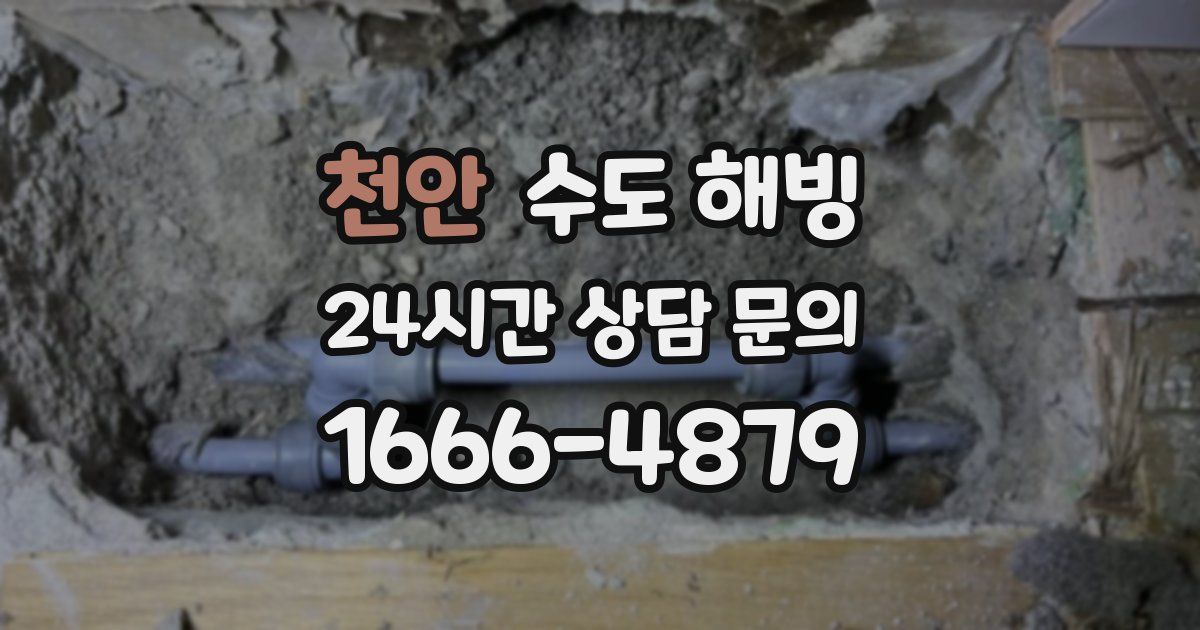 천안 수도 해빙