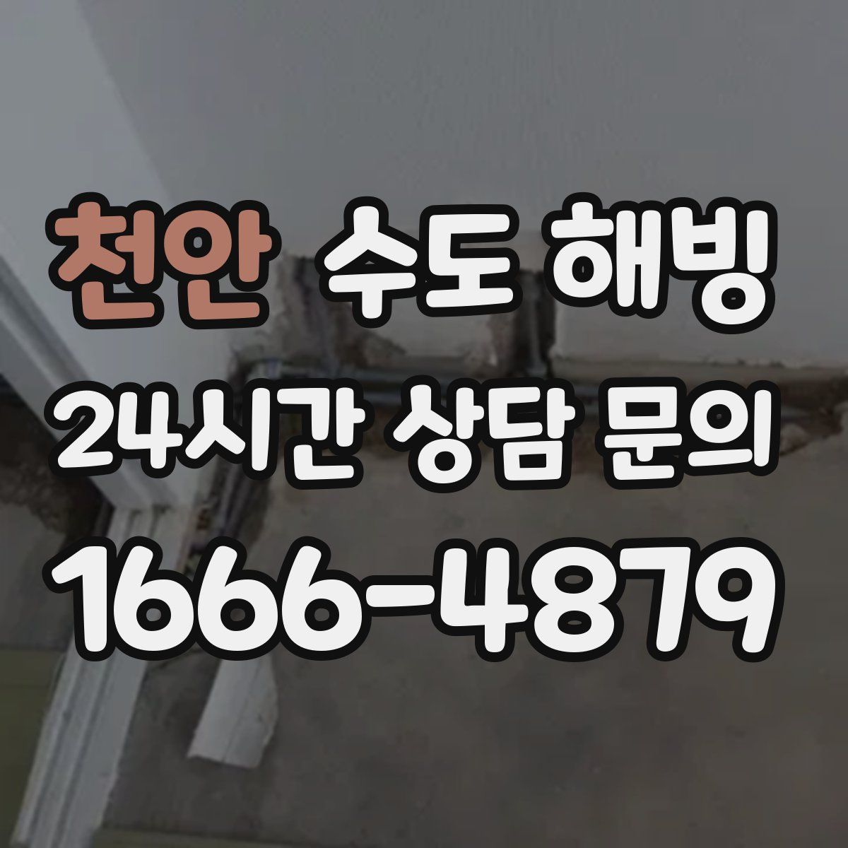 천안 수도 해빙