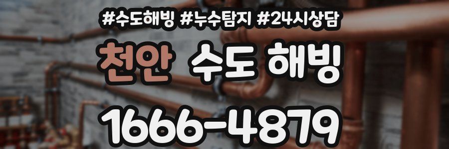 천안 수도 해빙