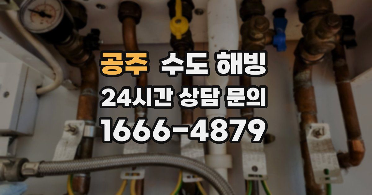 공주 수도 해빙