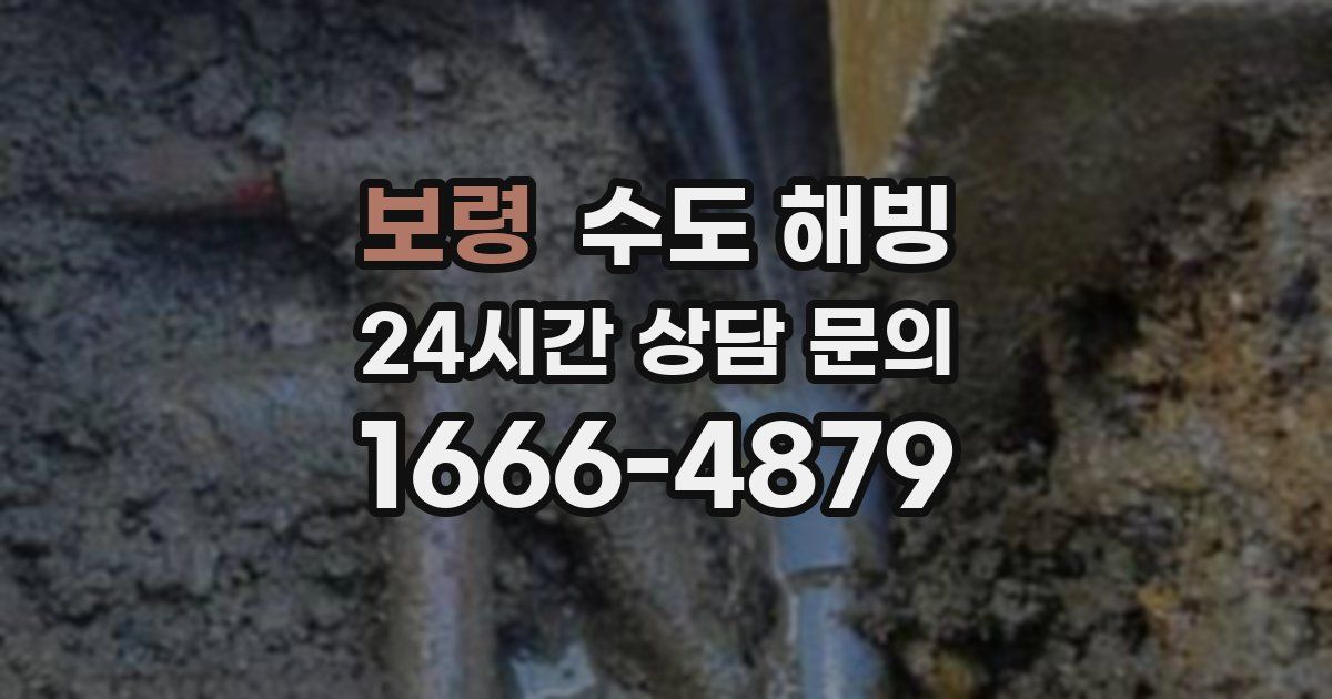 보령 수도 해빙