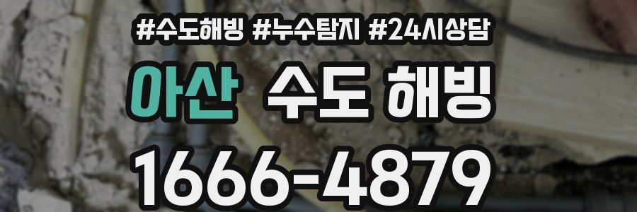 아산 수도 해빙