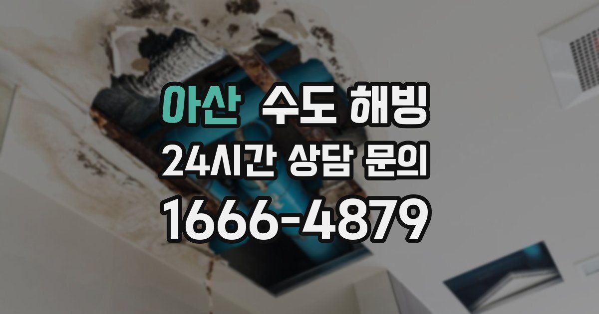 아산 수도 해빙