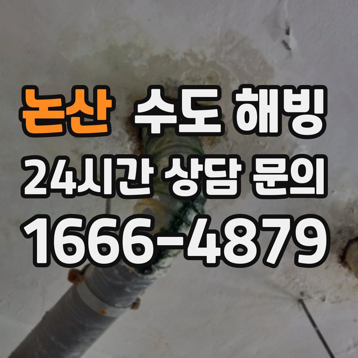 논산 수도 해빙