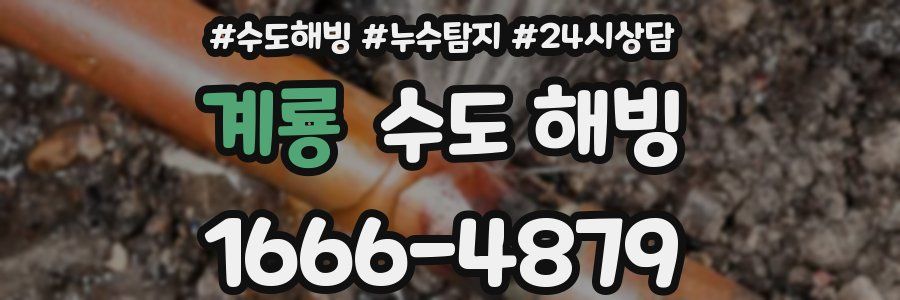 계룡 수도 해빙