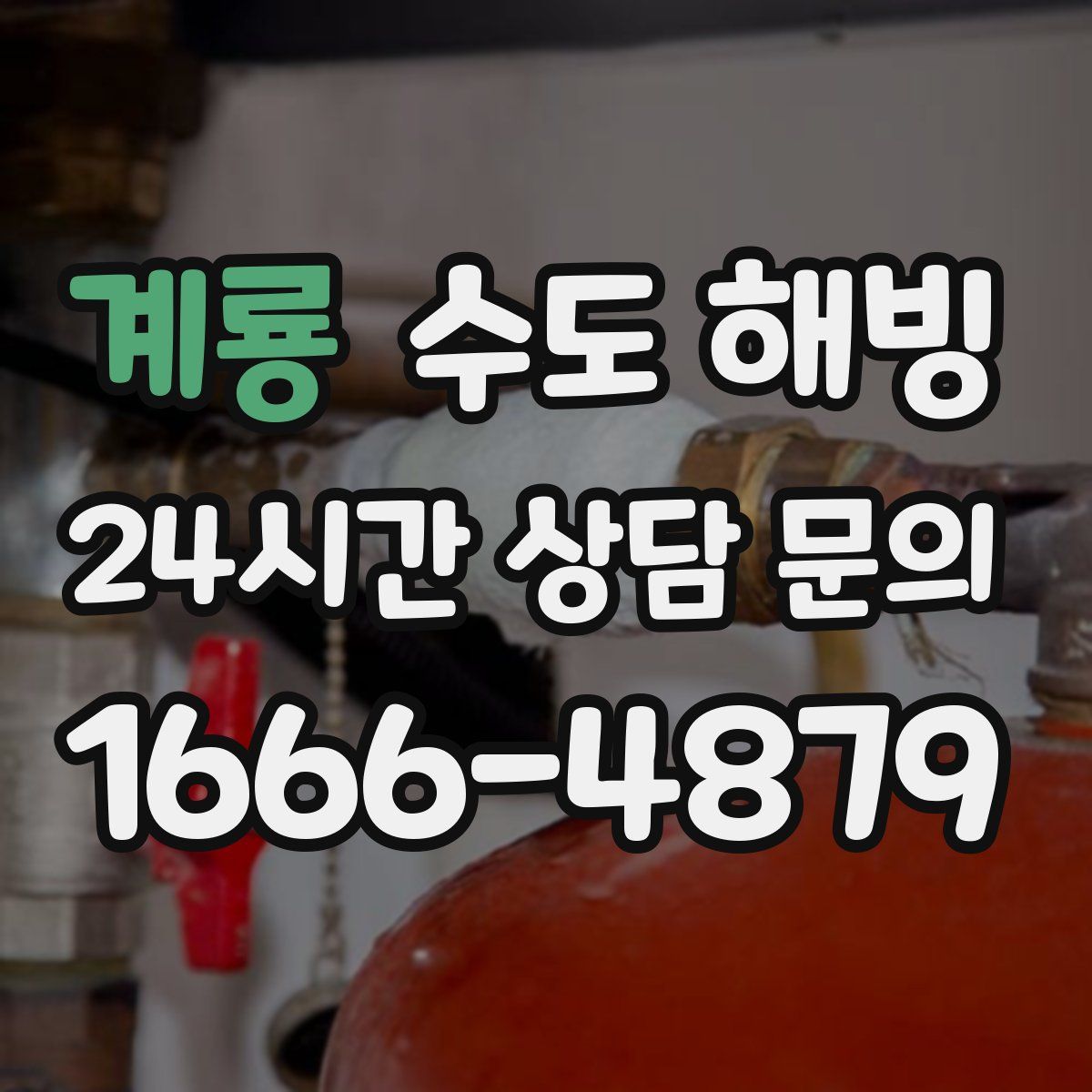 계룡 수도 해빙