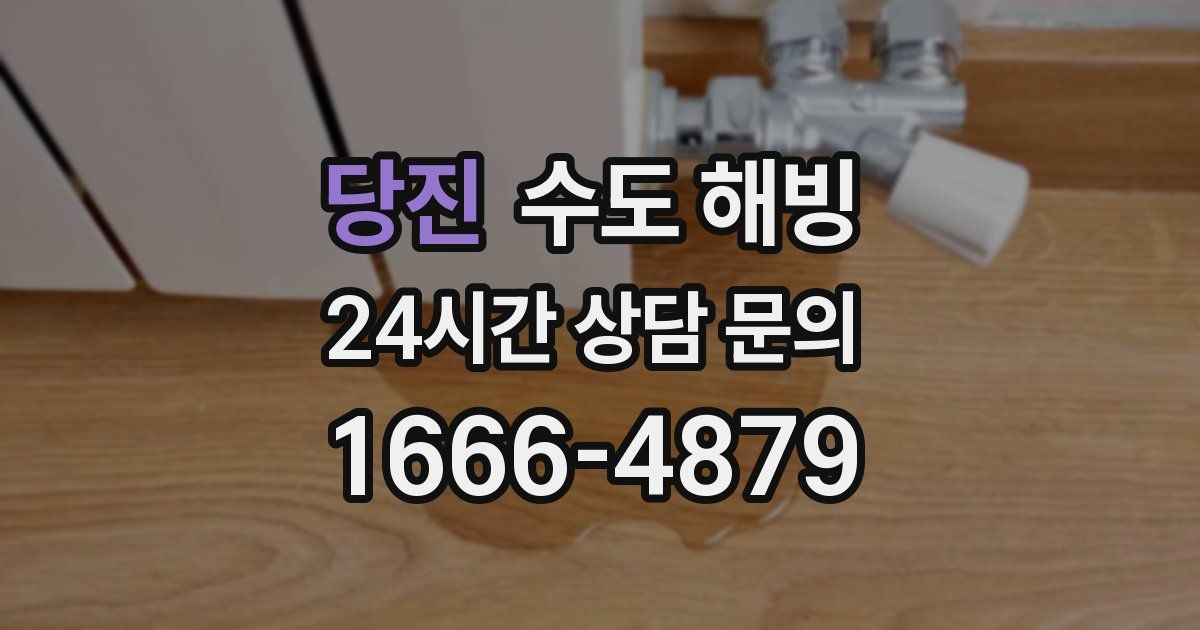 당진 수도 해빙