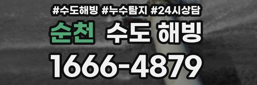 순천 수도 해빙