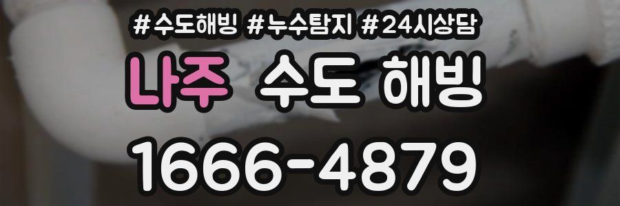나주 수도 해빙