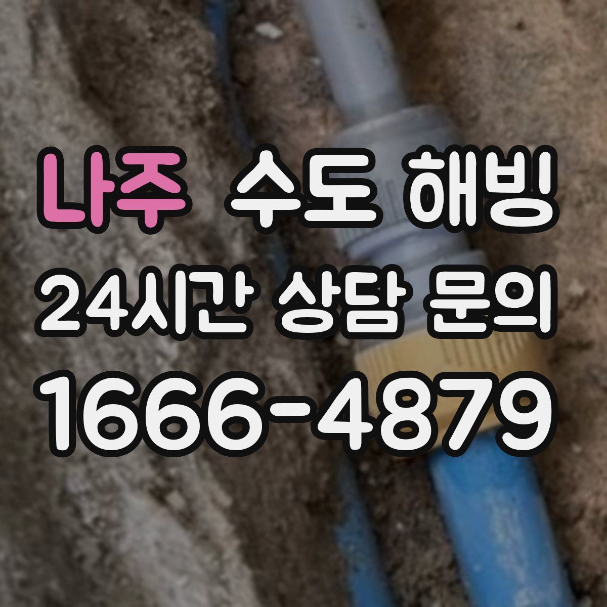 나주 수도 해빙