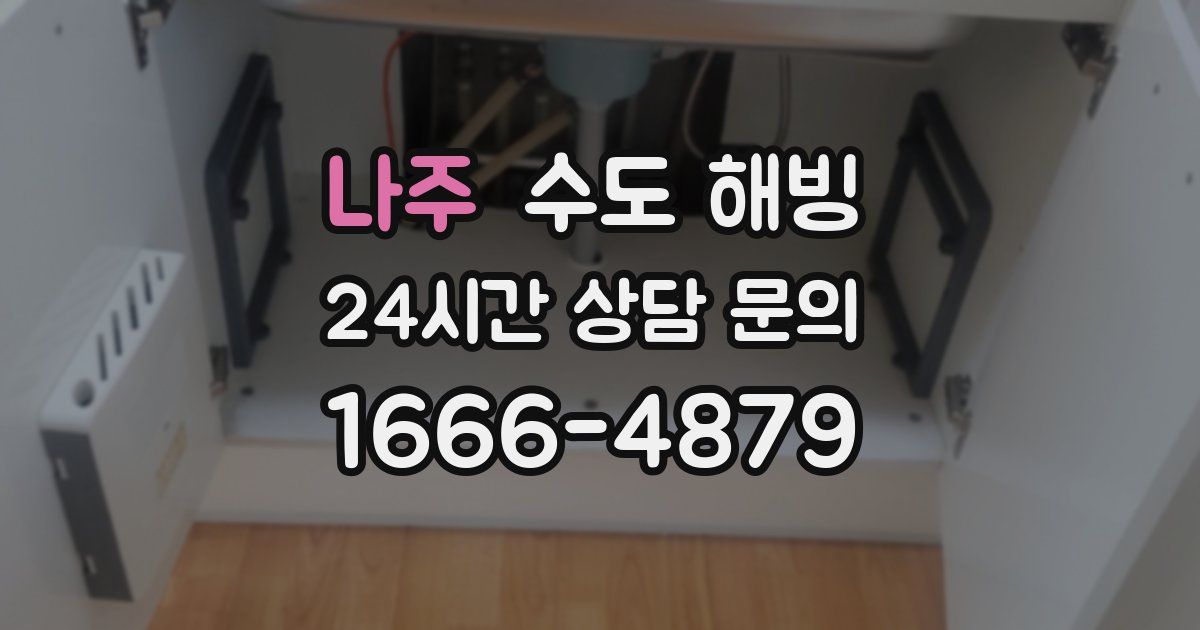 나주 수도 해빙