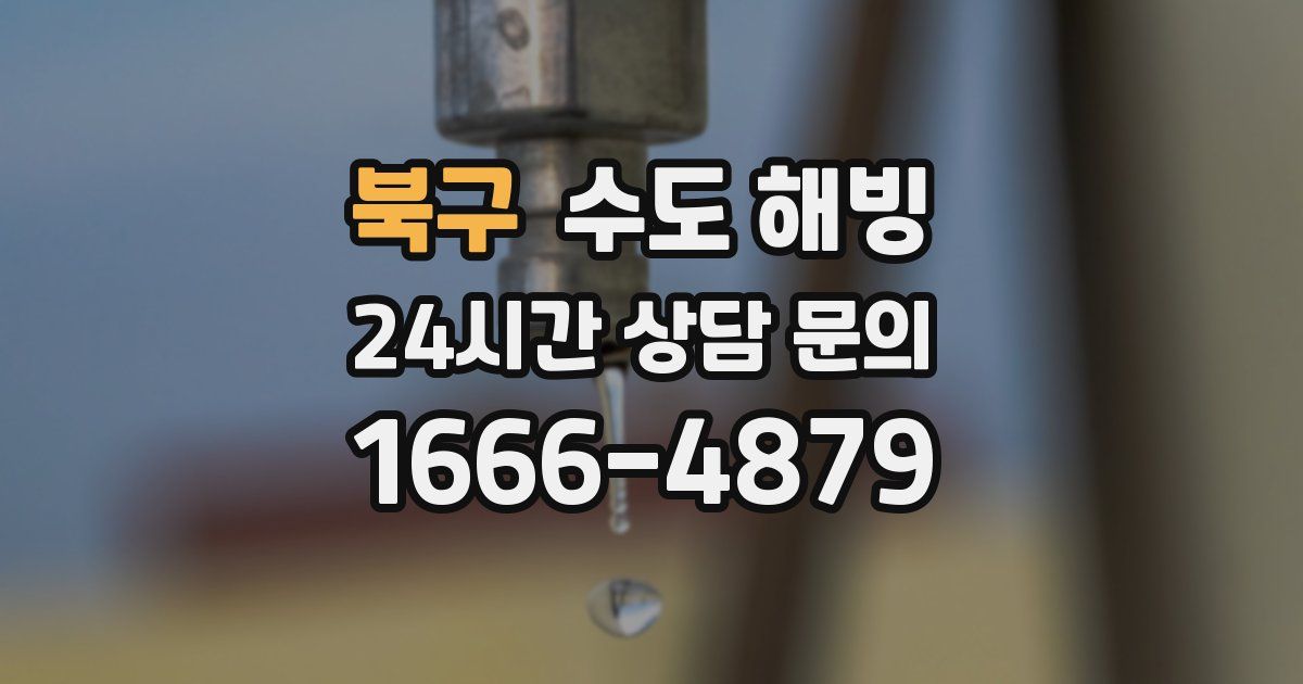 북구 수도 해빙