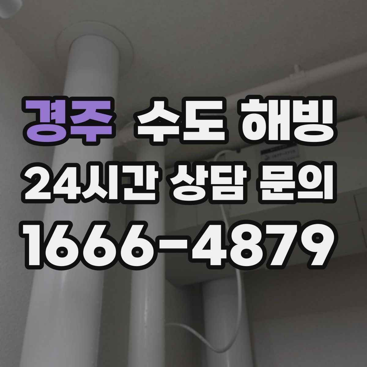 경주 수도 해빙