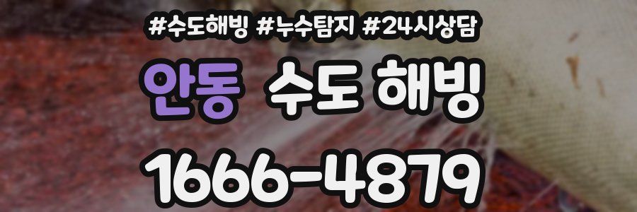 안동 수도 해빙