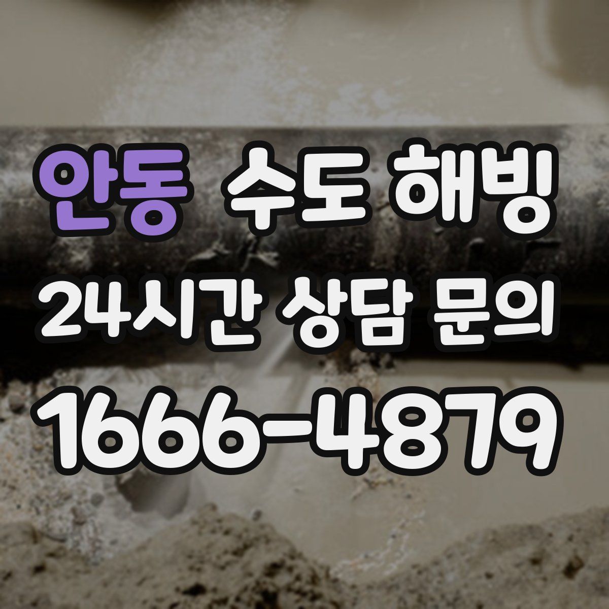 안동 수도 해빙