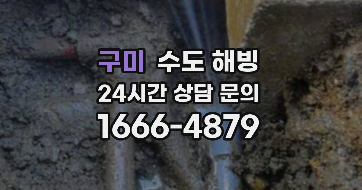 구미 수도 해빙