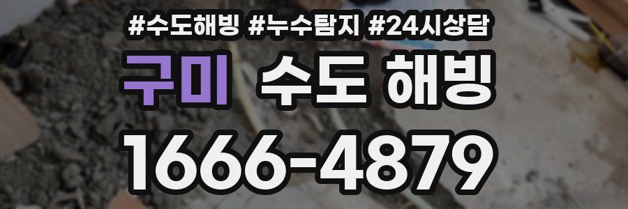 구미 수도 해빙