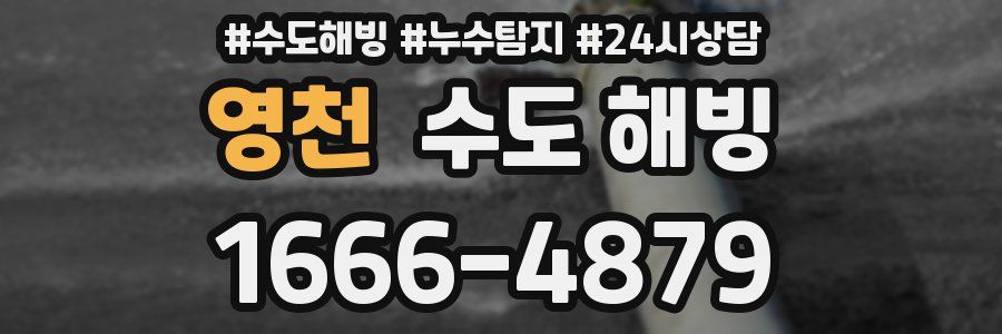 영천 수도 해빙