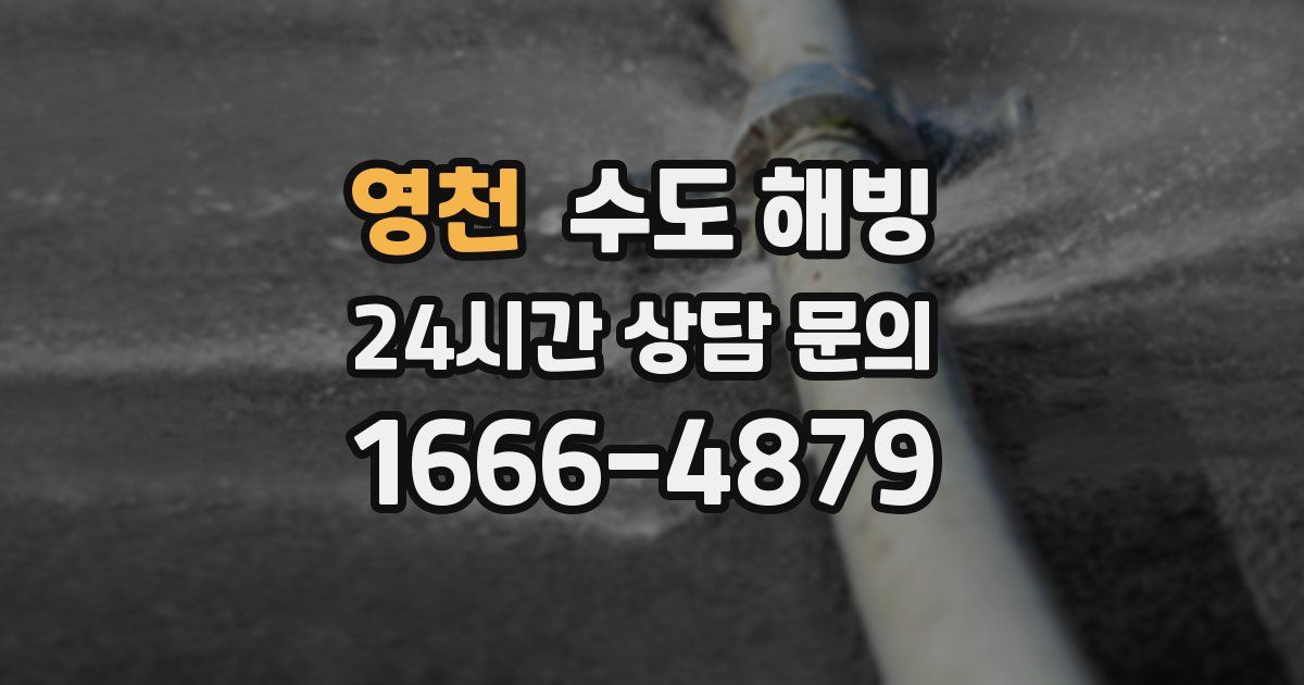 영천 수도 해빙