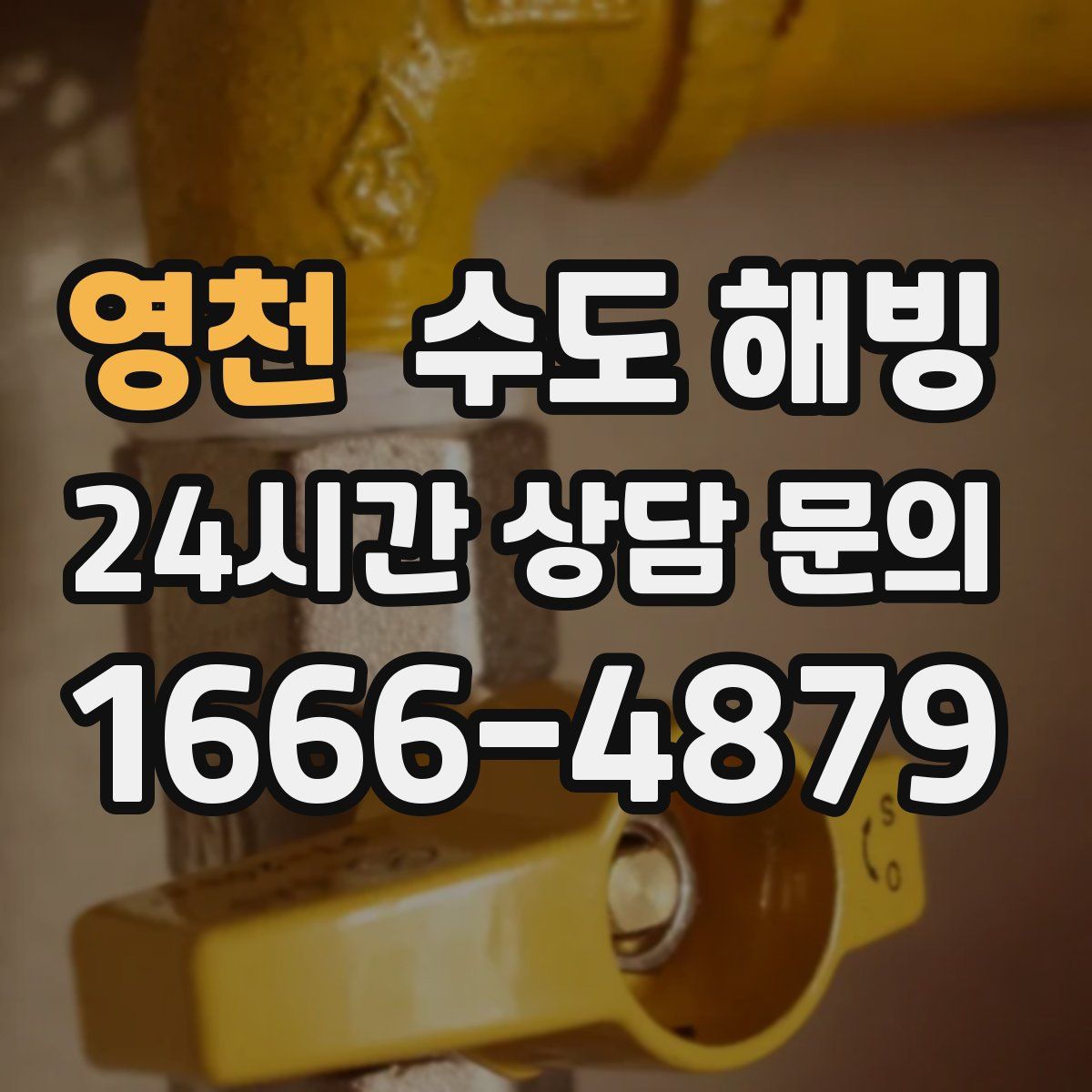 영천 수도 해빙