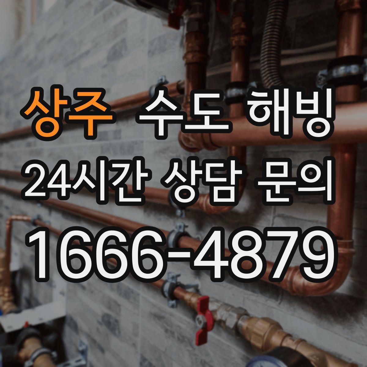 상주 수도 해빙