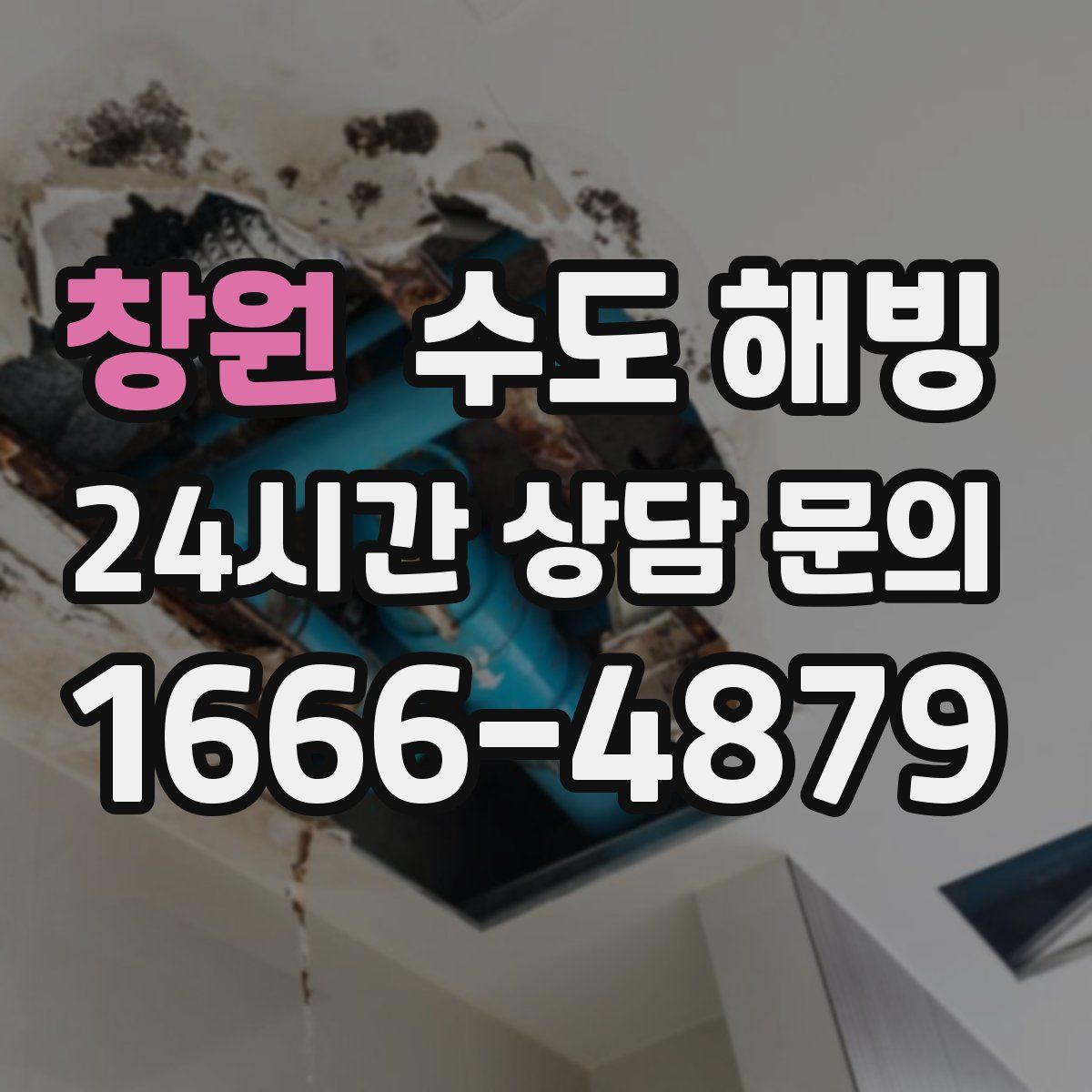 창원 수도 해빙