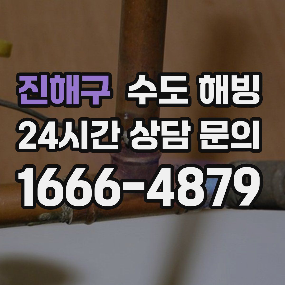 진해구 수도 해빙