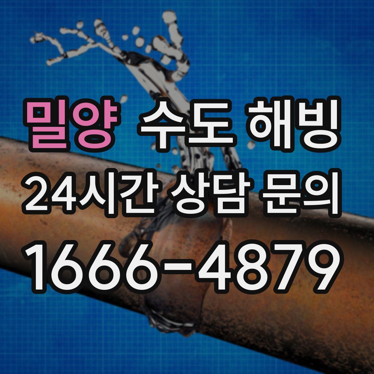 밀양 수도 해빙