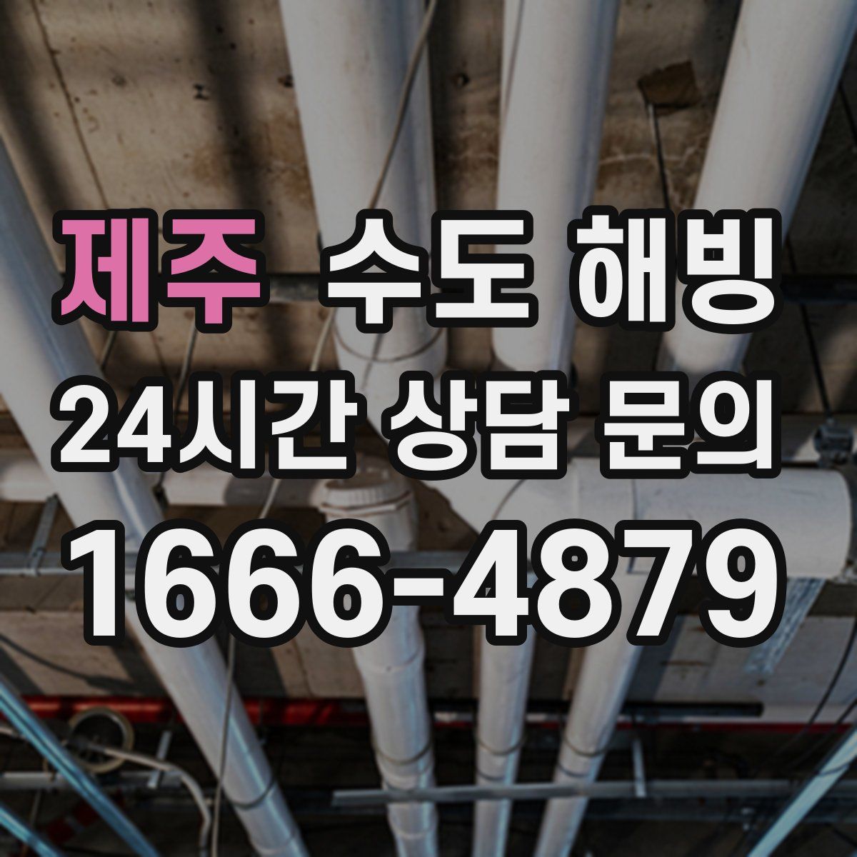 제주 수도 해빙