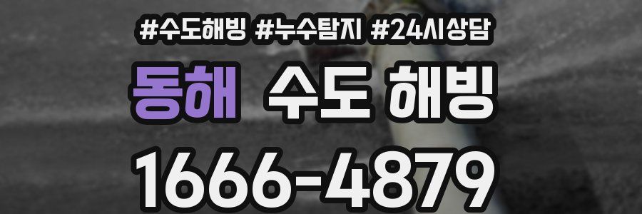 동해 수도 해빙