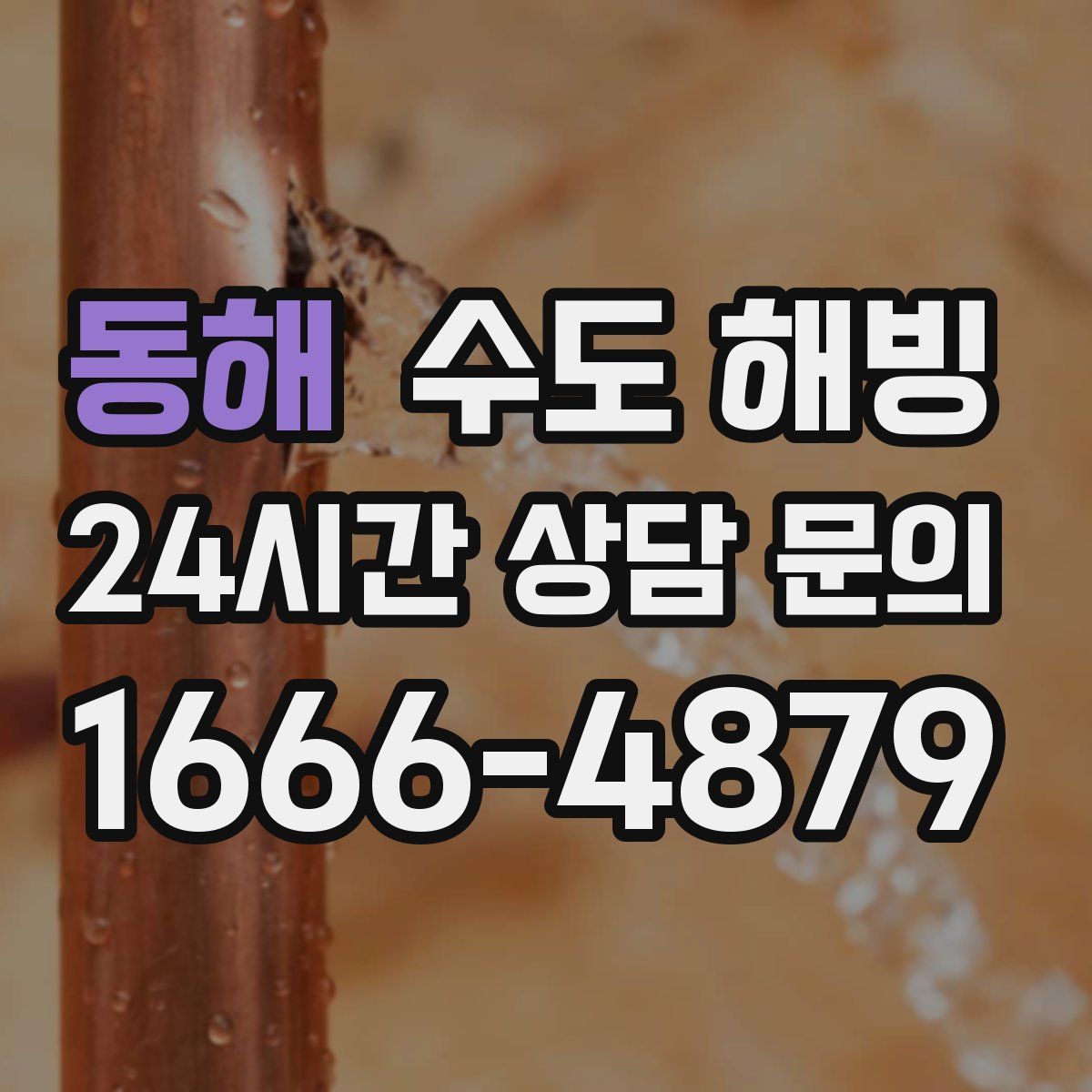 동해 수도 해빙