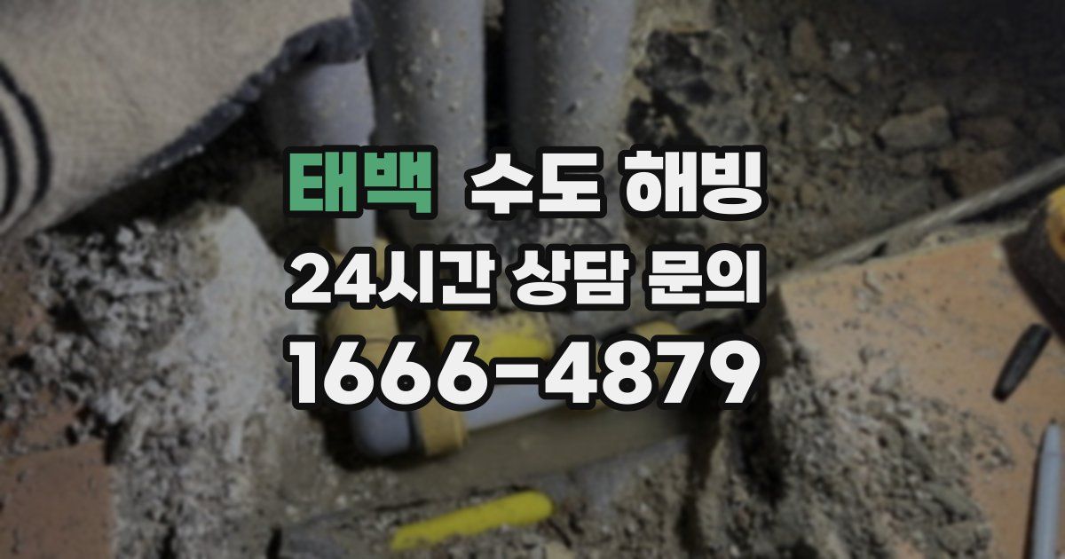 태백 수도 해빙