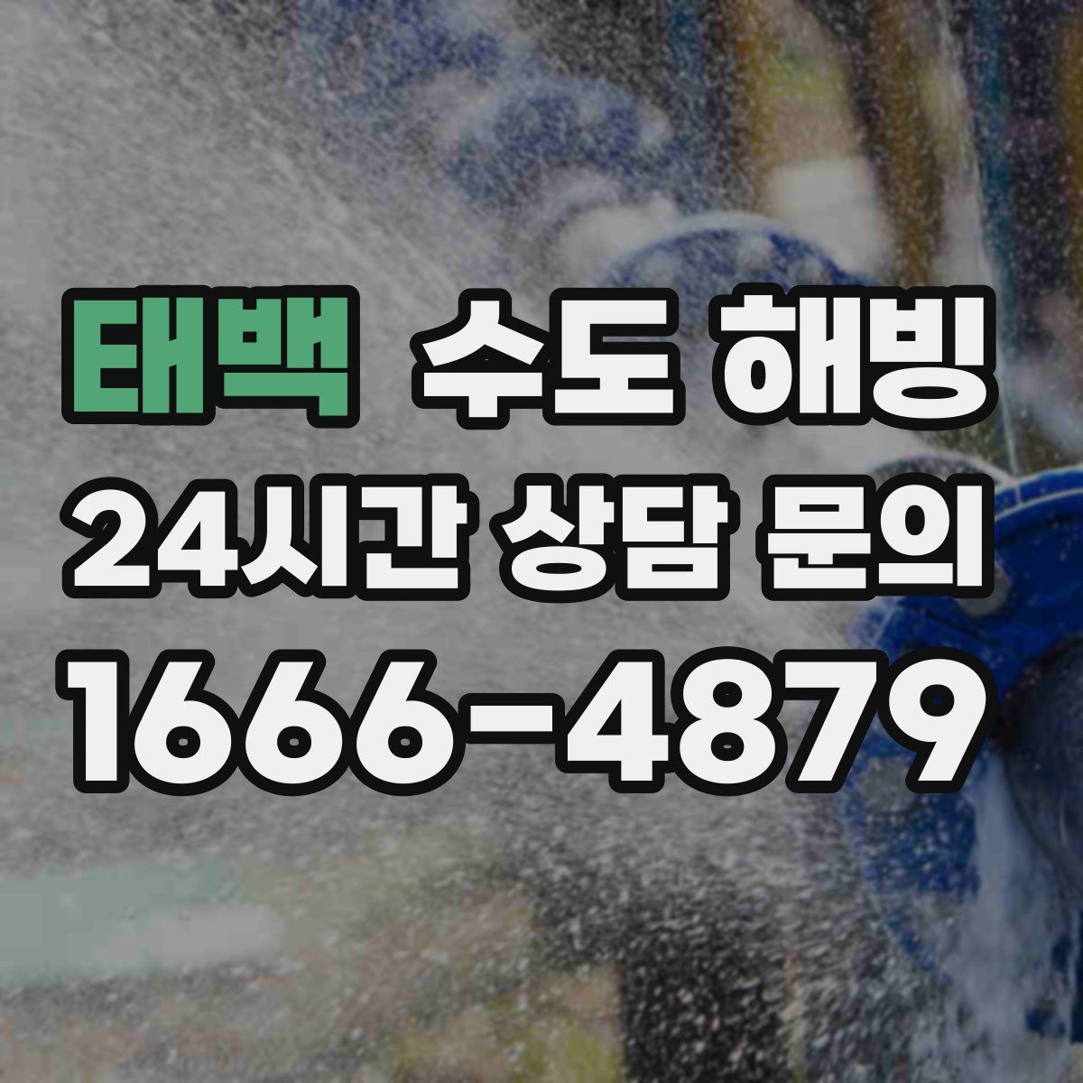 태백 수도 해빙