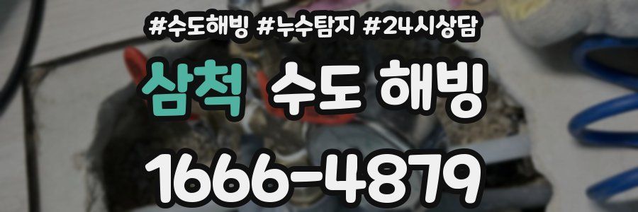 삼척 수도 해빙