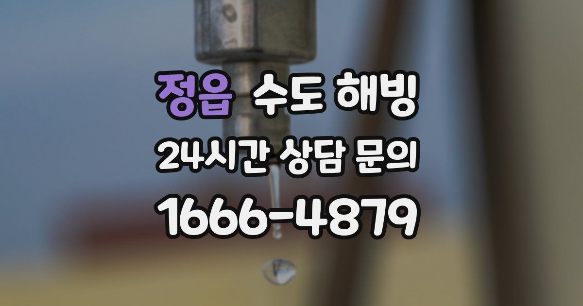 정읍 수도 해빙