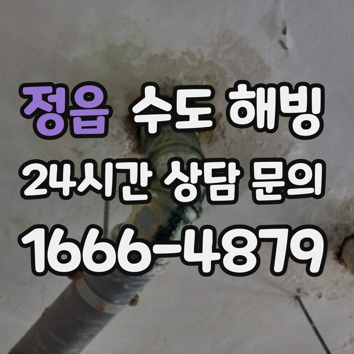 정읍 수도 해빙