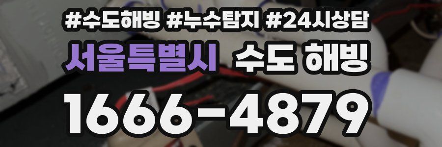 서울특별시 수도 해빙