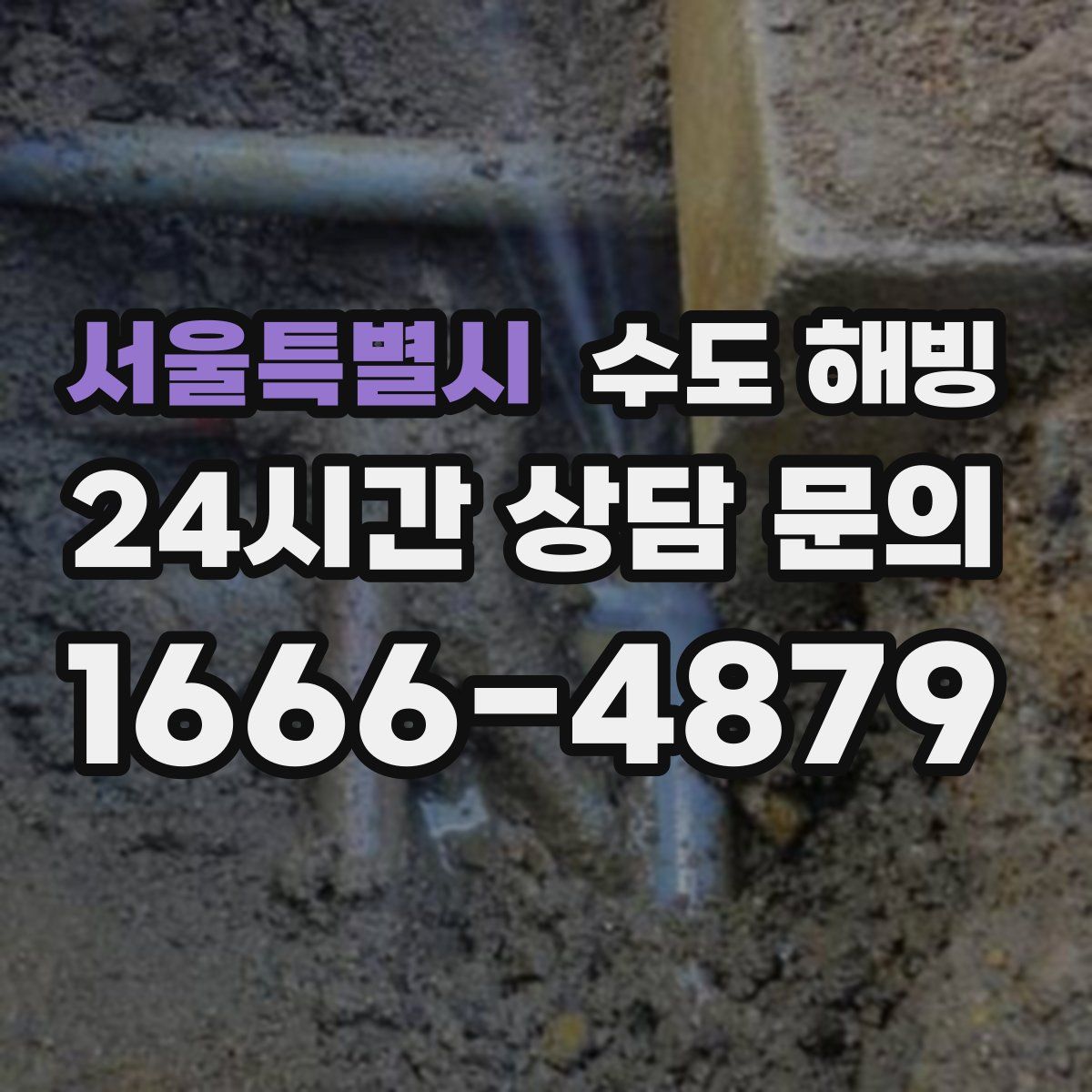 서울특별시 수도 해빙