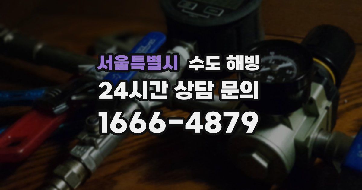 서울특별시 수도 해빙
