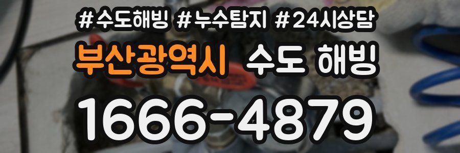 부산광역시 수도 해빙