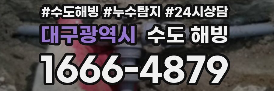 대구광역시 수도 해빙
